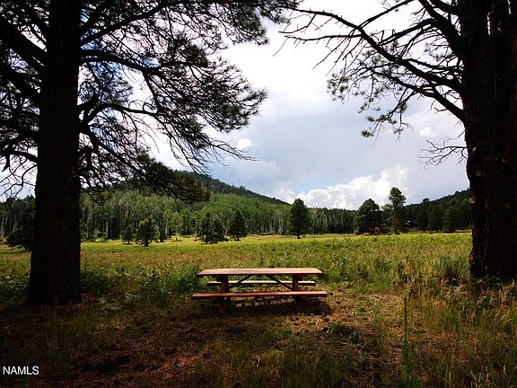 4th image of 15820 Forest Service 9008s Rd