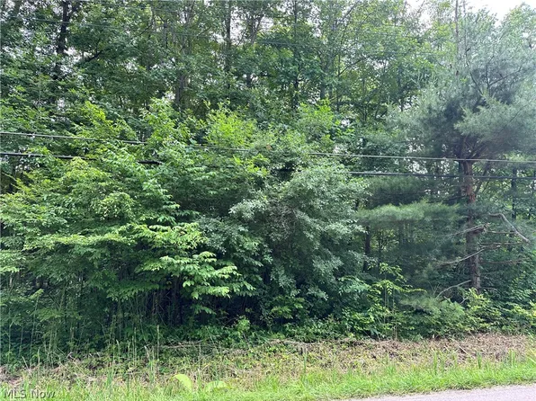 730 Rome Rock Creek Rd, Rock Creek, OH 44084