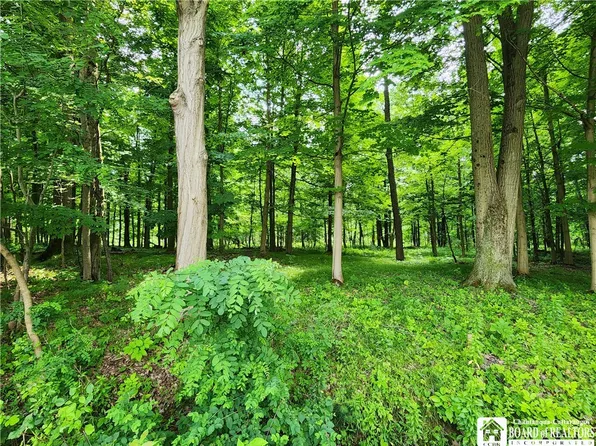 0 E Livingston Ave #10, Celoron, NY 14720