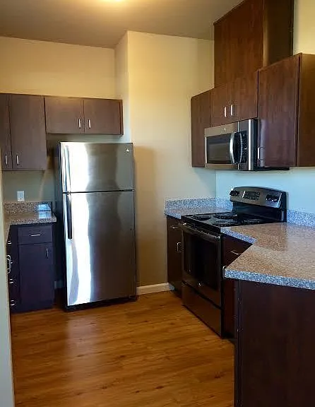 Plumtree Apartments — Photo 51