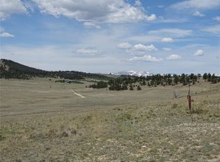 9164 County Road 15, Fairplay, CO 80440