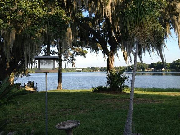 Backyard view