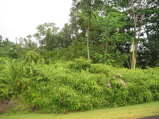 1st image of Alamihi St Lot 214