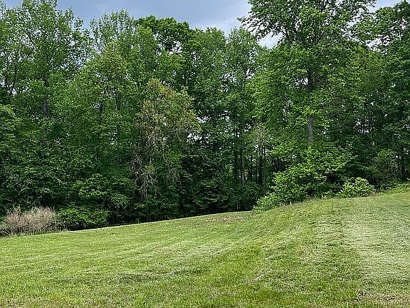 3rd image of 115 Brushy Bluff Ln