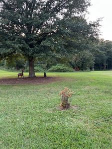 LOT 7 Farmer Rd, Starr, SC, 29684