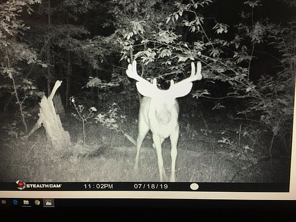 5th image of this home