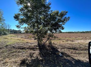 5.107 Willie Varnum Rd LOT 4, Cottonwood, AL 36320