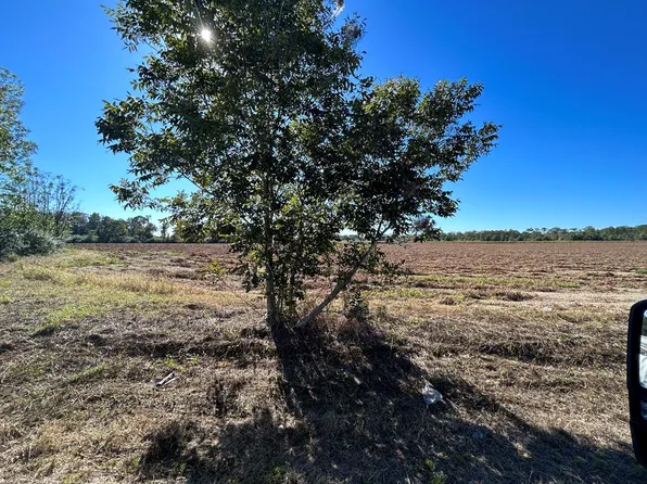 5.107 Willie Varnum Rd Lot 4, Cottonwood, AL 36320