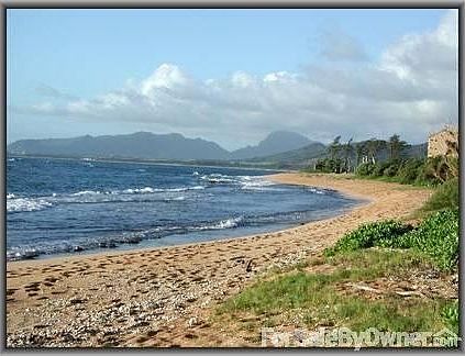 beach behind condo
						:
						often empty; connected to15 miles of walking path; reef and jetty are close.