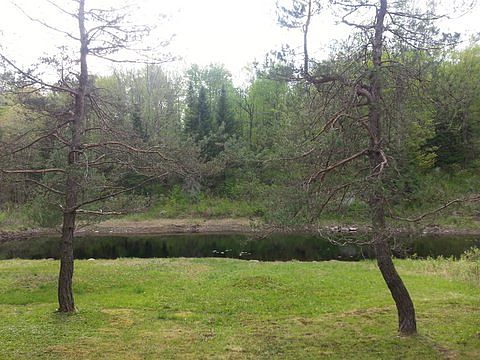 POND FROM NEW CABIN
