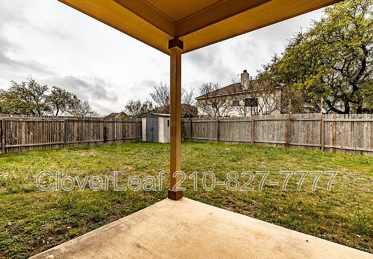 3734 Ox Eye Daisy — Photo 41