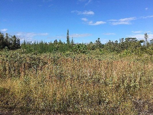 1st image of 1st Ave Lot 2921