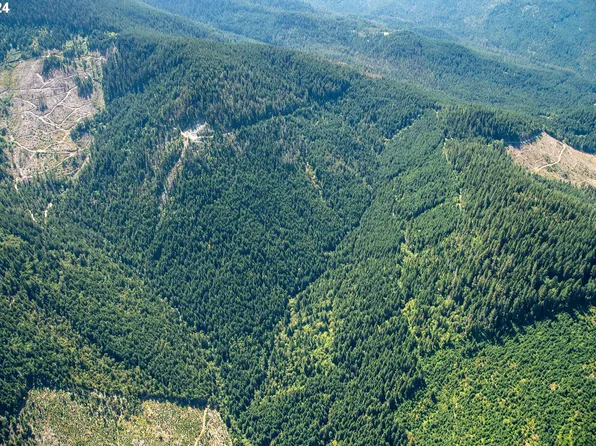 W Williams Creek Rd, Williams, OR 97544