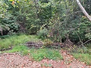 3rd image of 0 Off Droz Lot 2