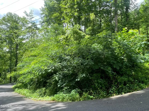 752 Loop Rd Lot 2, Gatlinburg, TN 37738