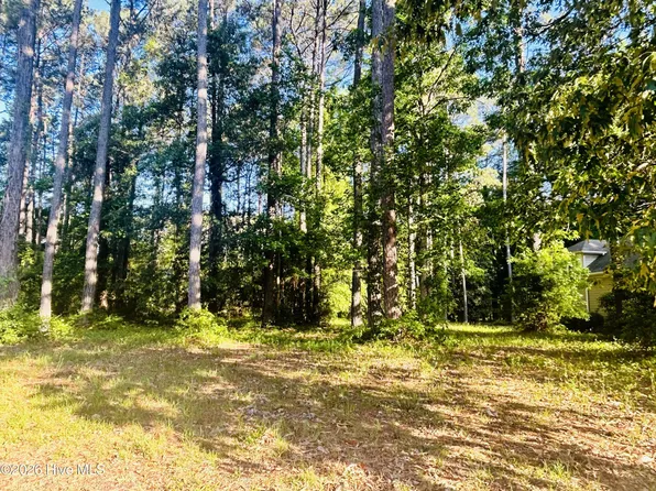 116 Magnolia Bay Ln Lot 402, Wallace, NC 28466