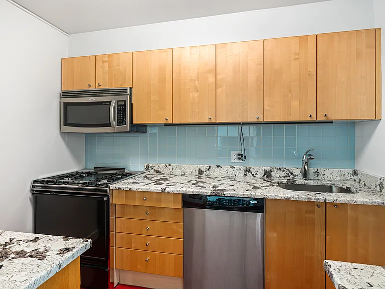 604 S Washington Sq #2106 — Photo 7
