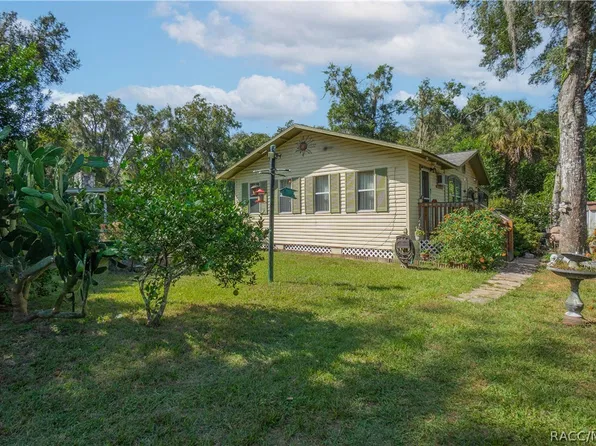 10425 E Pintail Dr, Floral City, FL 34436