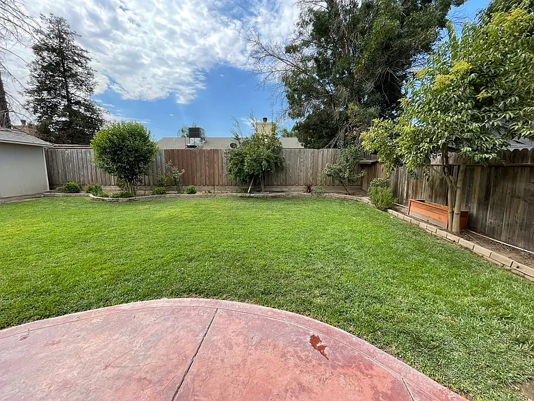 back yard