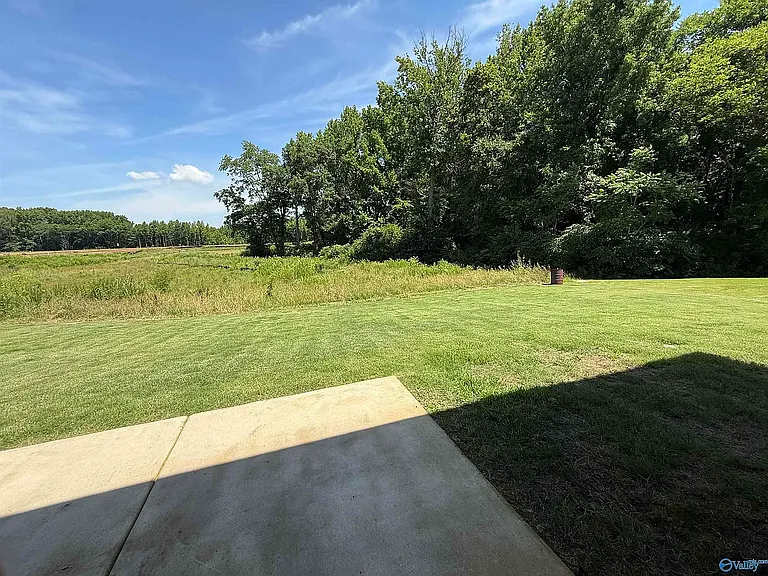 135 Plum Tree Ln — Photo 23