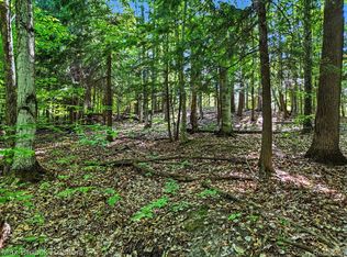 125 Legend Trl, Bellaire, MI 49615