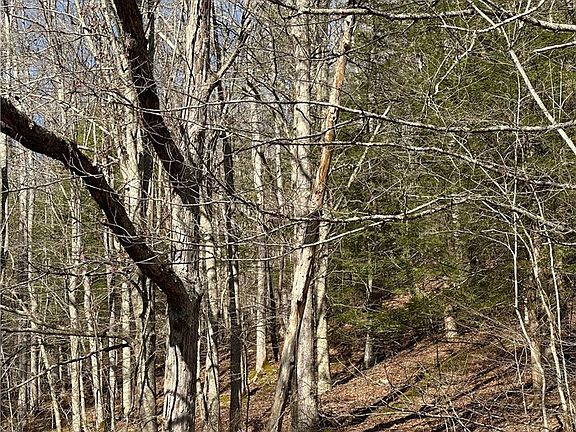 2nd image of 1038 Sycamore Rd