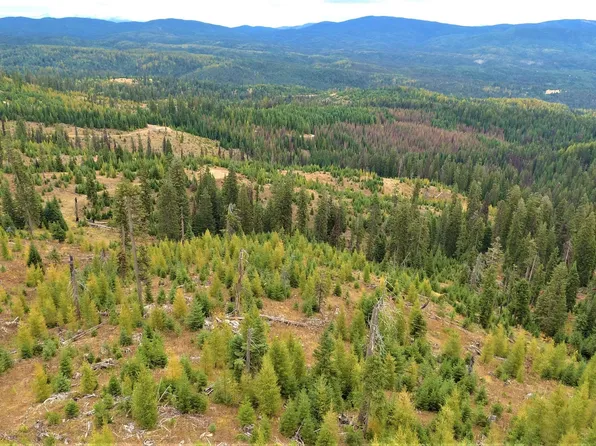 Elk City Wagon Rd, Elk City, ID 83525