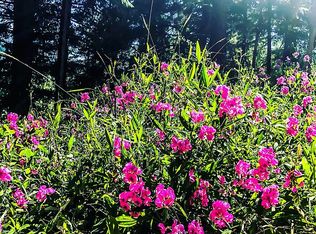 8897 Azalea Glen Rd, Glendale, OR 97442