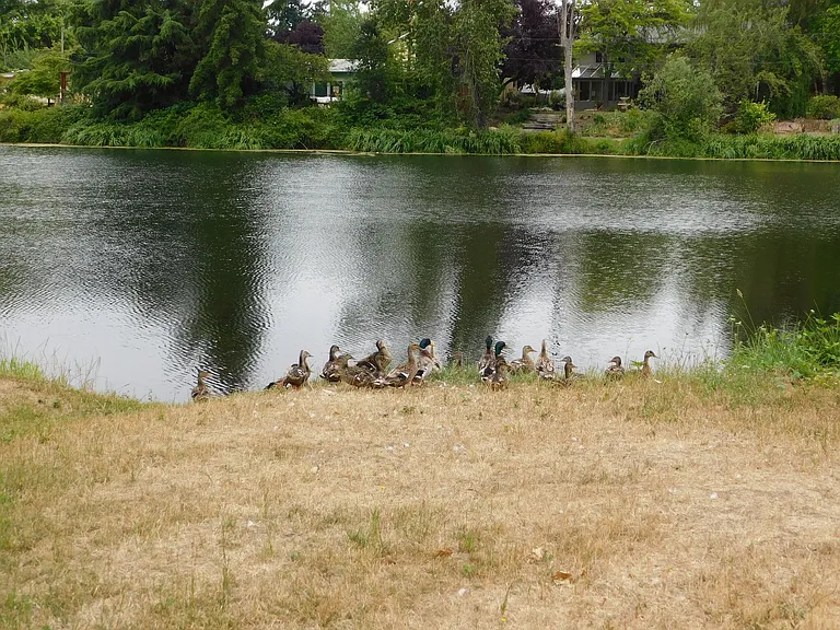Lakeside Manor Townhomes — Photo 22