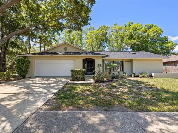 3107 Blue Heron St, Safety Harbor, FL 34695