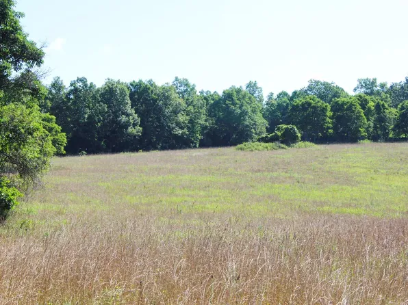 0 State Route 17, Mountain View, MO 65548