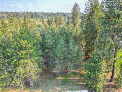 3402 E Yearling Rd, Chattaroy, WA, 99003