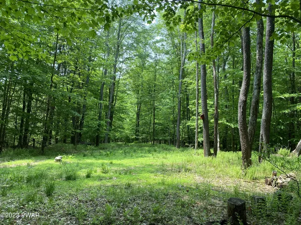 Traco Rd, Lake Ariel, PA 18436