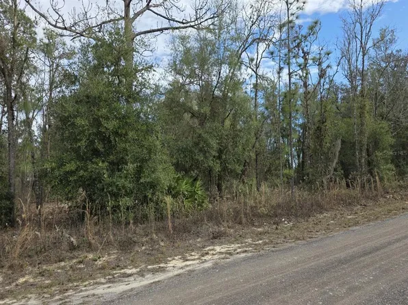 SW 141st Ct Lot 29, Ocala, FL 34481