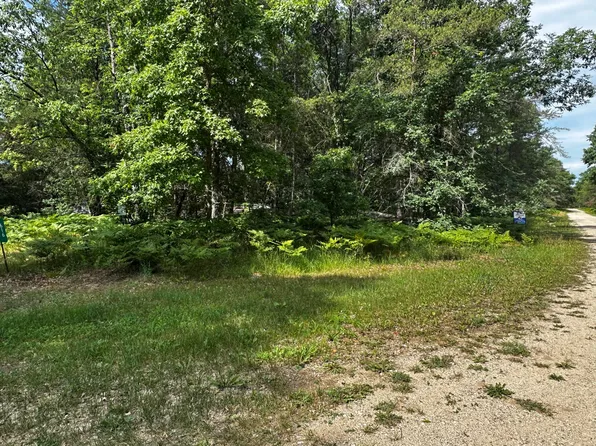 Vl W Airpark Dr, Luther, MI 49656