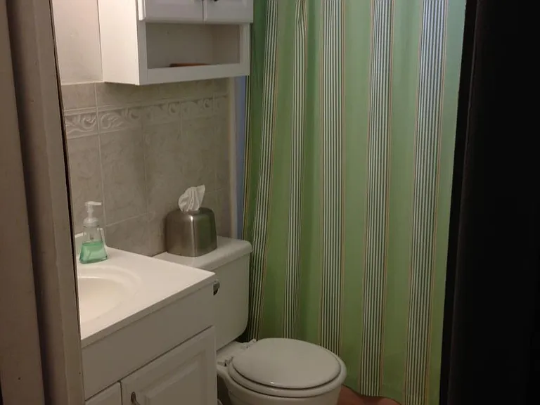 207 Marion Ave #1 — Photo 11