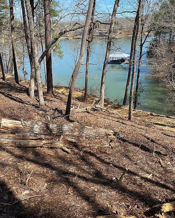 36 Sipsey Overlook Rd LOT 74, Double Springs, AL 35553 Zillow