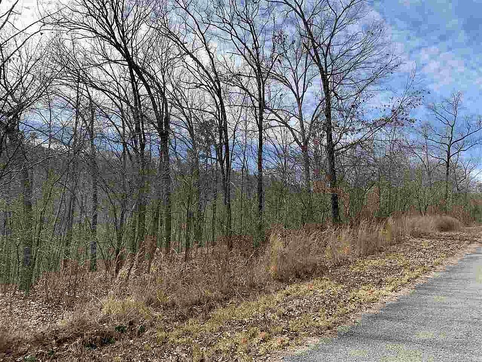 2nd image of LOT 36 Lower Ridge Cir