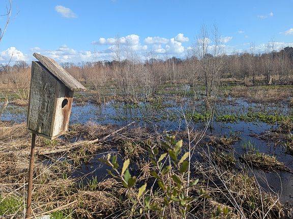 Wood duck box and crawfish pond
