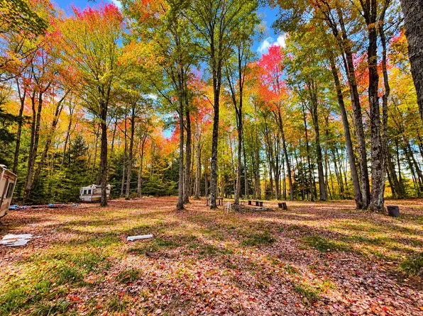 V/l Third Rd, Kalkaska, MI 49646