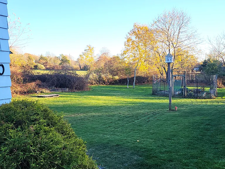 back yard