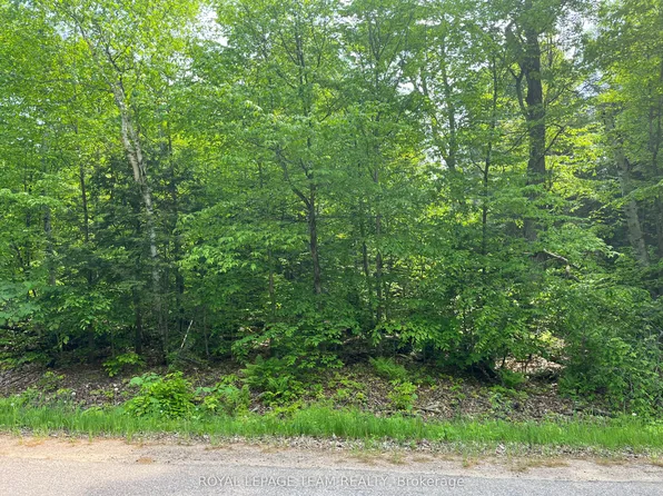387 A Sunny Hill Rd, Madawaska Valley, ON K0J 1B0