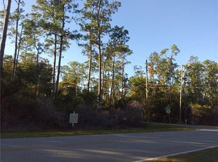 12900 Lake Mary Jane Rd, Orlando, FL 32832