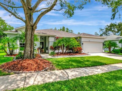 18906 Edinborough Way, Tampa, FL, 33647