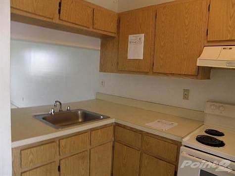 4th image of 5100 Palm Hill Dr APT 209