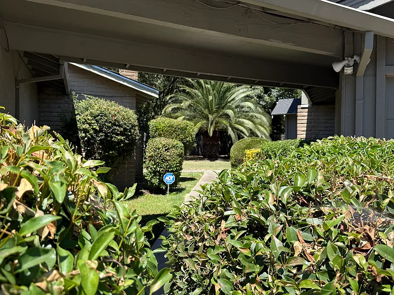 1505 Blackoak Dr #1501 — Photo 10