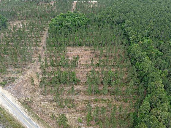 3rd image of 3000 Buck Swamp Rd Lot 5