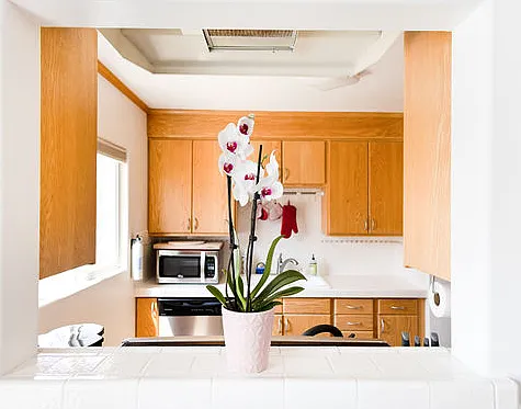 2 bed, 855 sqft, $3,775 — Photo 2