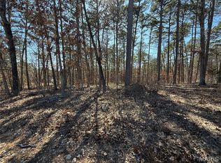 10066 Fish Hook Rd, Potosi, MO 63664