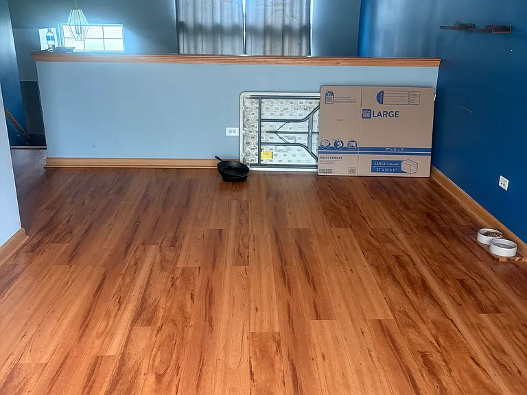 539 Silver Leaf Dr — Photo 1